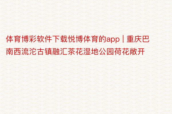 体育博彩软件下载悦博体育的app | 重庆巴南西流沱古镇融汇茶花湿地公园荷花敞开